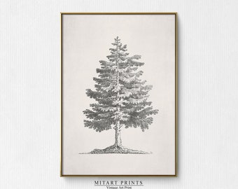 vintage Pine Tree Print, vintage Pine Tree Wall Art, Christmas Tree Sketch Print, Tree Drawing Printable, Artwork For Wall, Digital Download