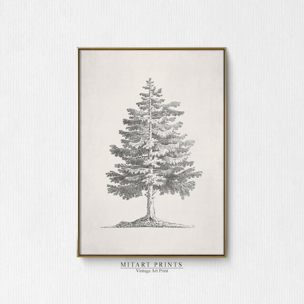 Vintage Pine Tree Print, Vintage Pine Tree Wall Art, Christmas Tree Sketch Print, Tree Drawing Printable, Artwork For Wall, Digital Download