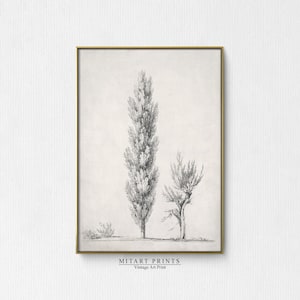 antieke rustieke boom schets kunst, vintage landschap boom tekening, kunstwerk voor muren, downloadbare kunst prints, minimalistische neutrale tekening kunst