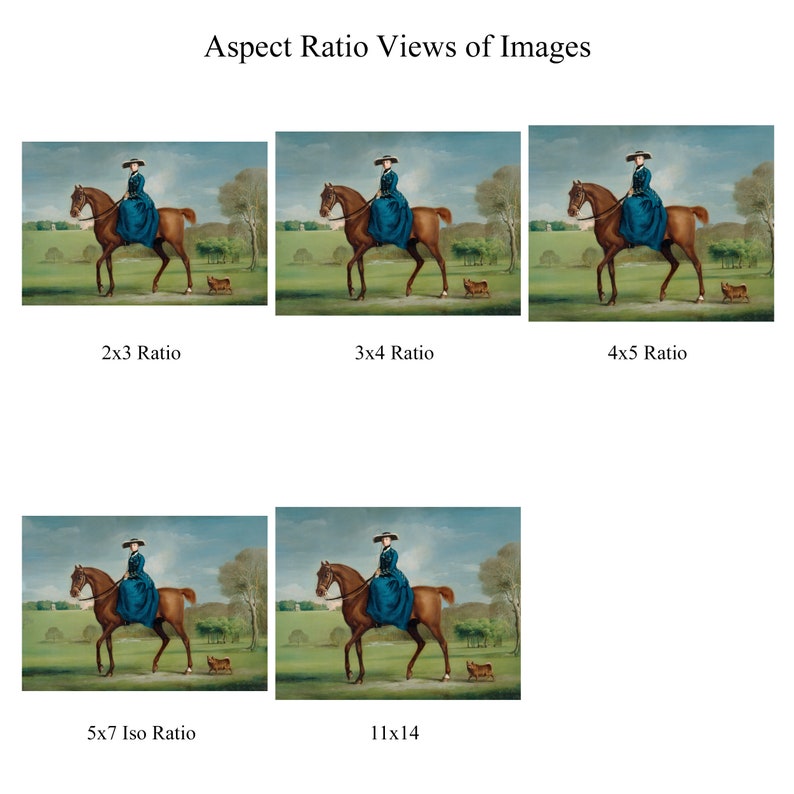 May include: A woman in a blue dress and a black hat rides a brown horse in a green field. A small brown dog walks behind the horse. The image shows different aspect ratios of the same image.