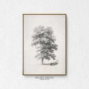 Vintage boom print, neutrale boom schets, tekening afdrukbaar, kunstwerk voor muren, downloadbare kunst prints, boerderij muur decor afdrukbaar