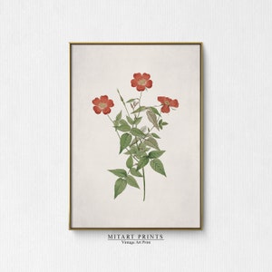 Antique Botanical Print, Vintage Flower Painting, Printable Botanical Wall Art, Neutral Floral Print, Botanical Wall Art