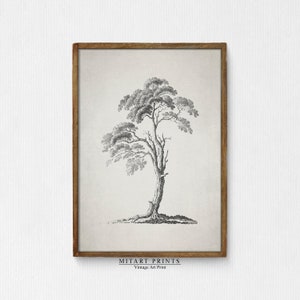 Op de afbeelding: Zwart-witte vintage illustratie van een boom met een gedraaide stam en takken. De afbeelding is ingelijst in een bruin houten lijst. De tekst "MITART PRINTS Vintage Art Print" staat onderaan de afbeelding.