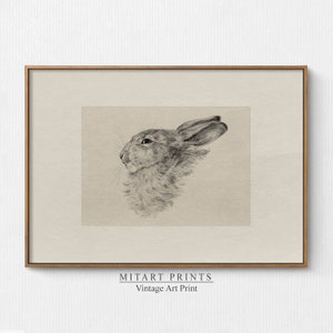 Vintage Rabbit Print, Printable Bunny Drawing, Farmhouse Rabbit Wall Art, Printable Nursery Wall Art, Rabbit Drawing, Instant Download