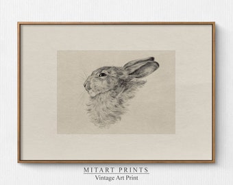 Vintage Rabbit Print, Printable Bunny Drawing, Farmhouse Rabbit Wall Art, Printable Nursery Wall Art, Rabbit Drawing, Instant Download