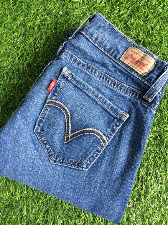 Size 25 Vintage Levi's 528 Distressed Jeans Curvy Cut Low Rise W25 L31 Tiny  Small Waist Jeans Tapered Leg Denim Petite Jeans Waist 25 