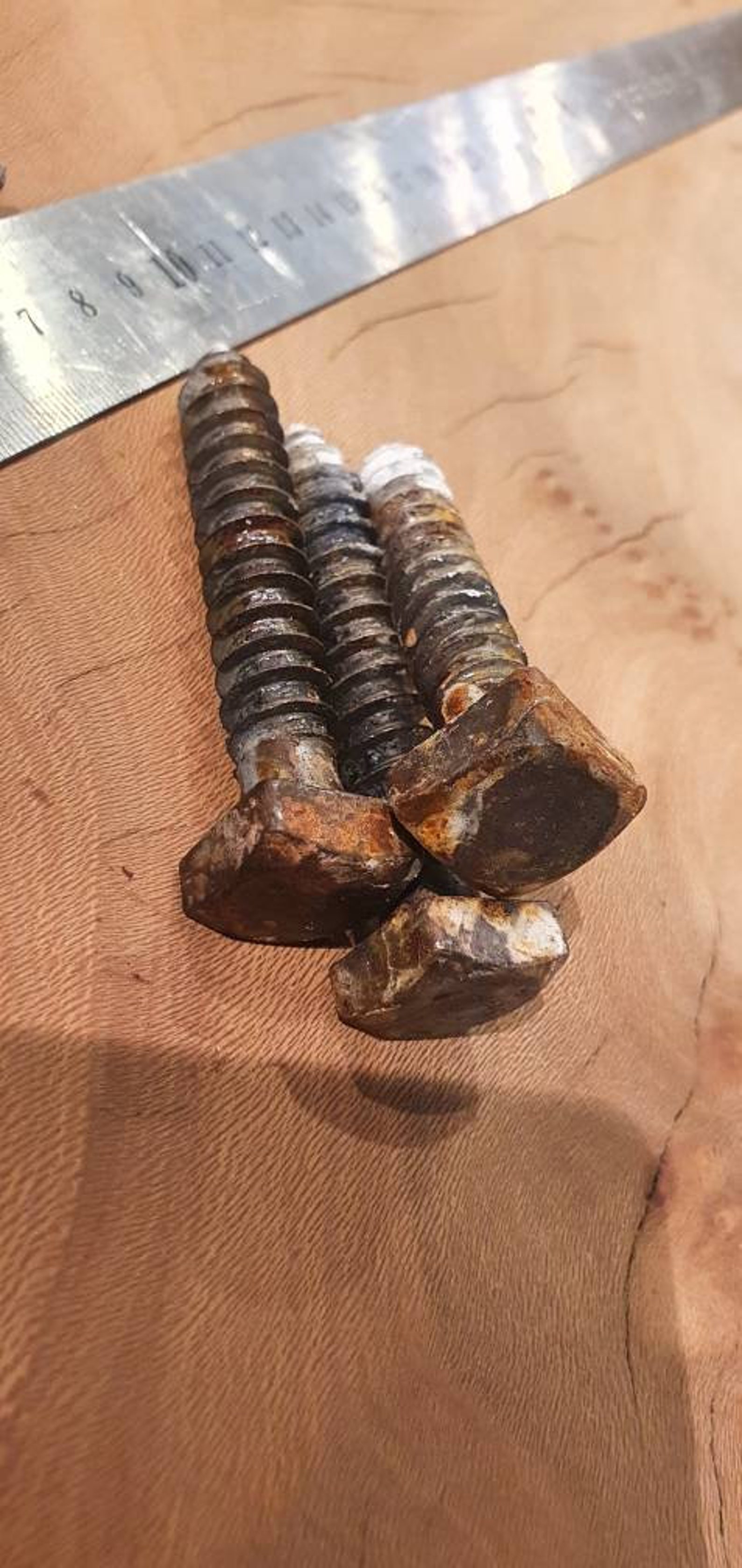 Industrial Iron Square Head Screw Lag Bolts Vintage Aged as Etsy