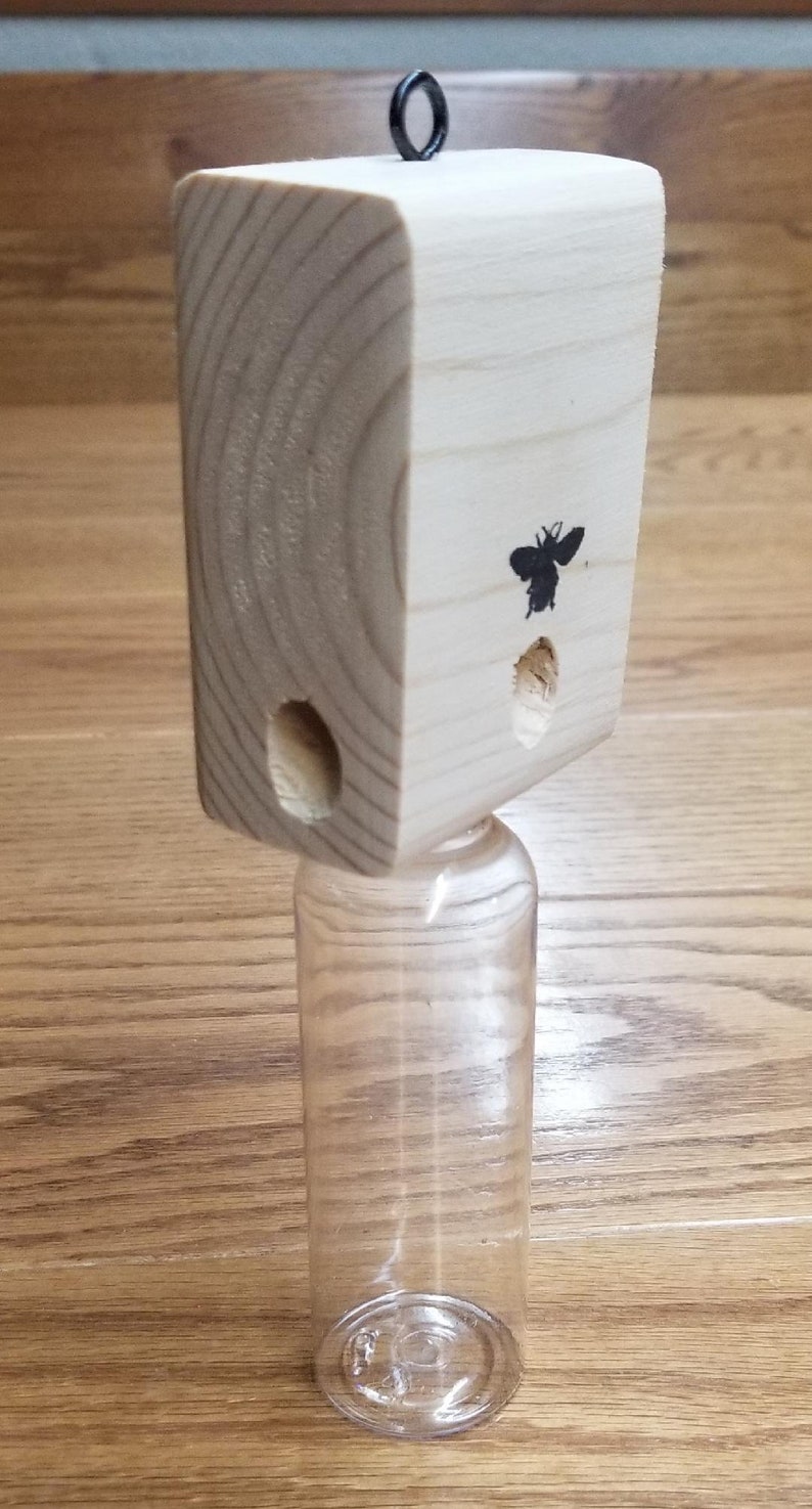 1 Mighty Mite Carpenter Bee Trap Plus a bottle of my 100% Natural Bee Trap Bait image 2