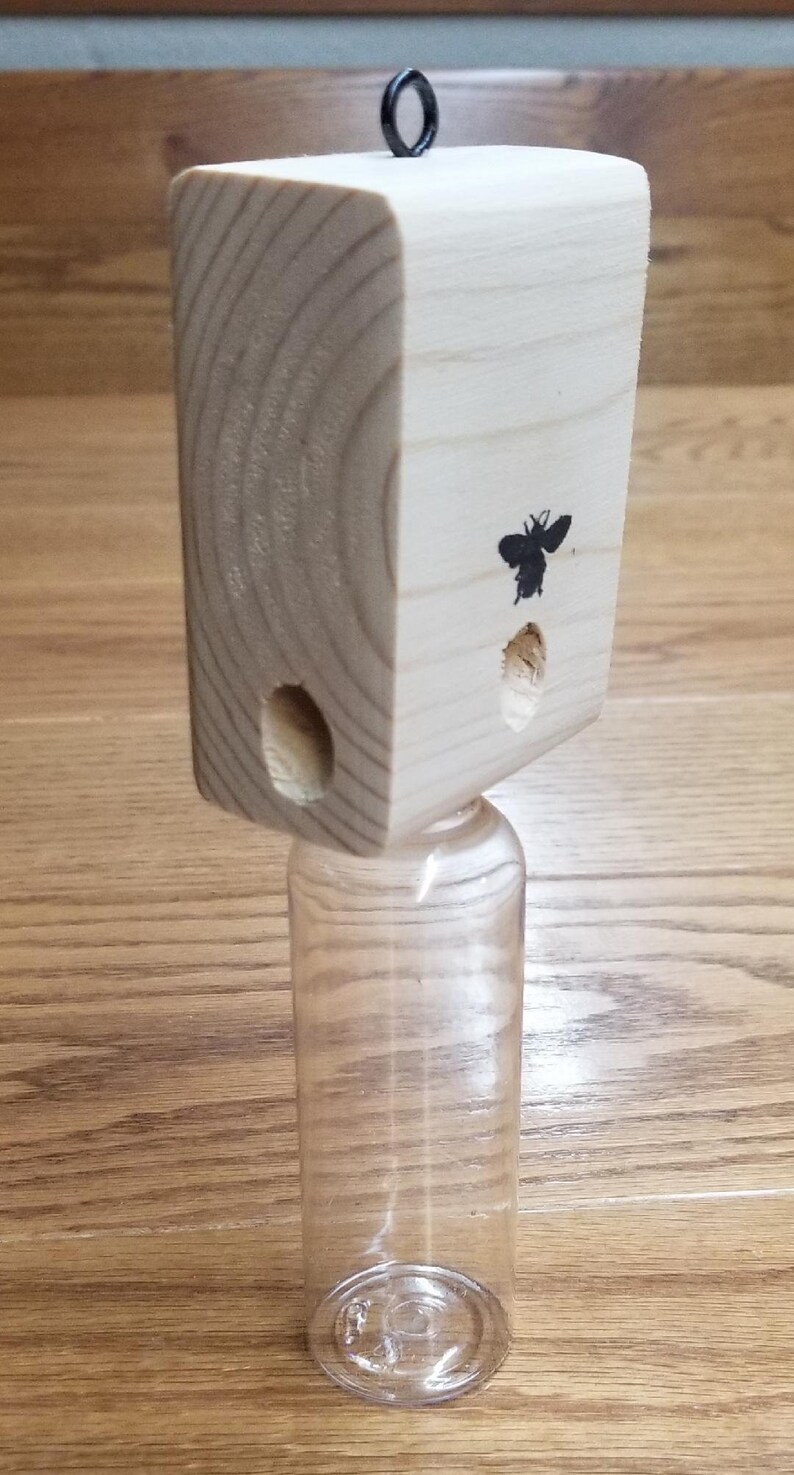 5 Mighty Mite Carpenter Bee Traps image 3