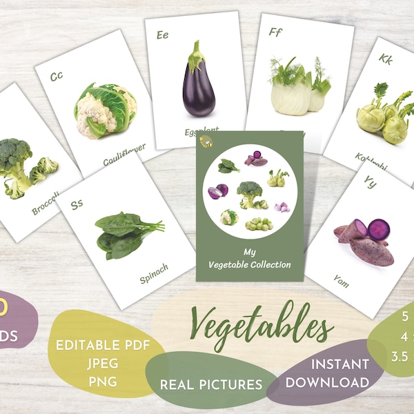 VEGETABLES (60 cards) | Real Picture | Editable Flash Card | Alphabet | Preschool Homeschool Daycare Montessori Educational Card | Printable