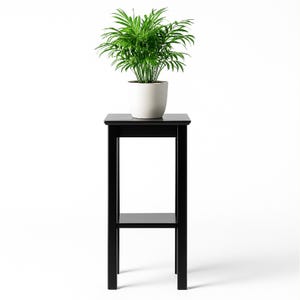 May include: A small, black wooden plant stand with a shelf, holding a potted green plant with long, thin leaves. The plant is in a white ceramic pot. The stand is rectangular and has a minimalist design.
