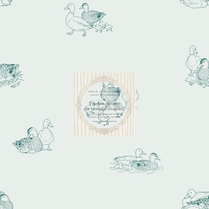Könnte beinhalten: Ein nahtloses Muster mit dunkelgrünen Strichzeichnungen von Enten und Entenküken auf hellem Hintergrund. Ein zentrales kreisförmiges Etikett enthält den Text vanya_illustration, Timeless patterns for beautiful creations und weitere Angaben.