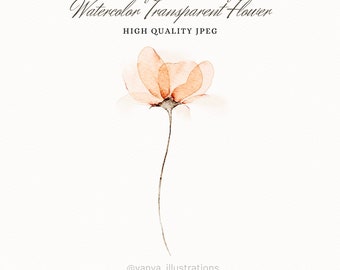 Illustration de fleur transparente aquarelle, tulipes, illustration de fleur, illustration botanique, illustration numérique, fichier JPEG