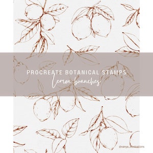 Procreate Botanical Stamps | Lemon Branches | Procreate stamps | Procreate | Commercial Use