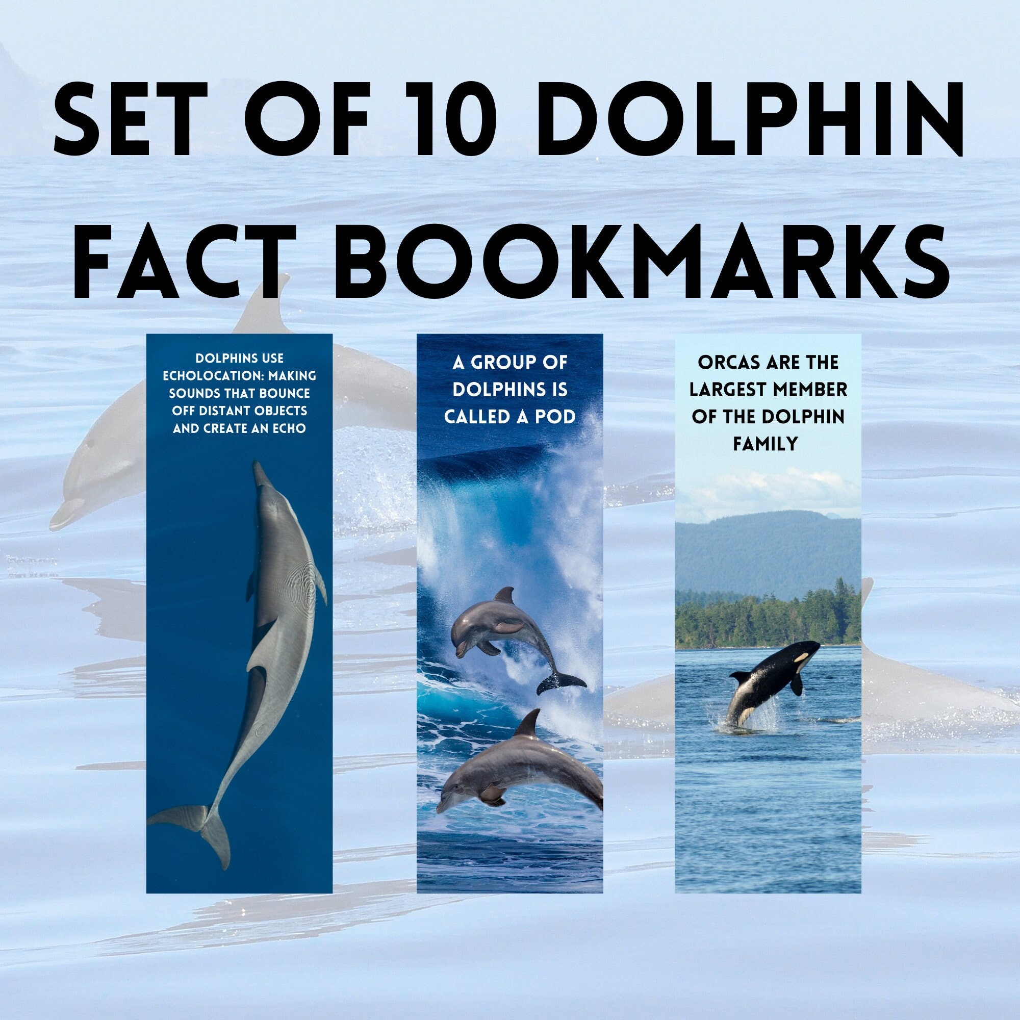 Printable Dolphin Fact Bookmarks / Printable Set of 10 Dolphins / Ocean