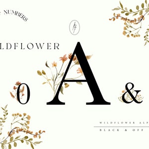 Wildflower Floral Alphabets Clipart, Wildflower Letters and Numbers, Premade Floral Alphabet, Wedding Alphabets Fonts