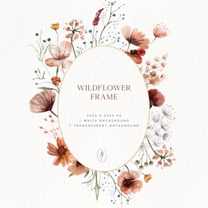 Clipart di fiori di campo dell'acquerello, clipart floreale, cornice di fiori di campo, clipart botanica, clipart di matrimonio, cornice floreale, cornice botanica, clipart