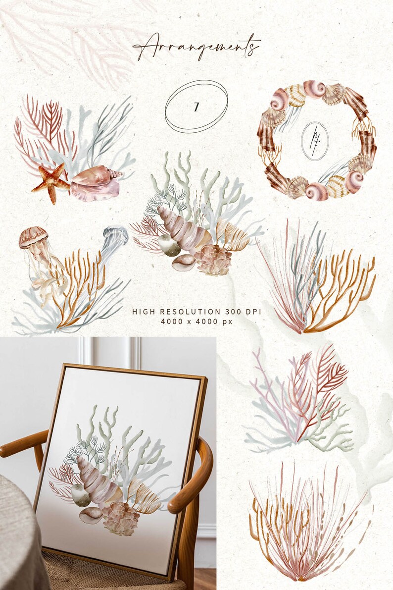 Ocean Watercolor Clipart, Nautical Animals and Shells (PNG) (digital ...