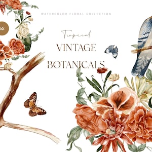 Vintage botanische clipart, aquarel bloemen clipart, zomer clipart, tropische bloemen, vintage bloemen clipart, botanische clipart, gebladerte clipart