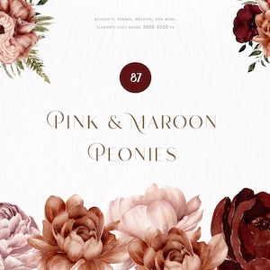 Blush pivoine PNG, Clipart Floral aquarelle, Clipart pivoine aquarelle, pivoine PNG, Clipart Floral Bourgogne, Clipart mariage Bordeaux, fleur marron