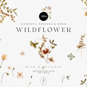 Clipart floral em aquarela, PNG de flores silvestres em aquarela, PNG de flores secas, clipart de flores silvestres, impressão de flores silvestres, clipart floral desenhado à mão