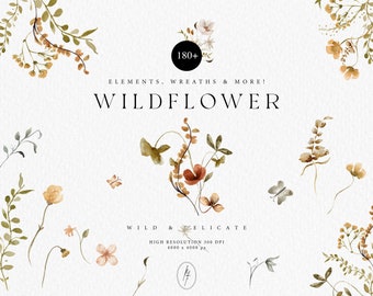 Watercolor Wildflower Clipart, Floral Wreaths, PNG (Digital Download)