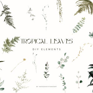 Watercolor Floral Clipart, Tropical Leaves Clipart, Eucalyptus Clipart,Ferns,Leaves Clipart,Eucalyptus Wreath,Greenery PNG,Watercolor Leaves