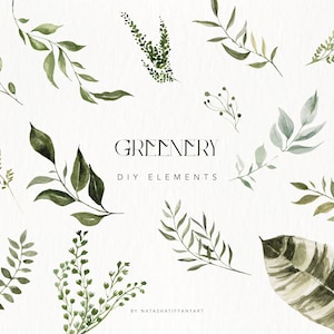 Watercolor Greenery, Leaves Clipart, Eucalyptus PNG, Greenery Elements PNG, Foliage Clipart, Eucalyptus Clipart, Tropical Leaves Clipart