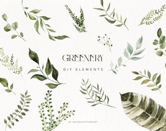 Watercolor Eucalyptus Clipart, Greenery PNG Leaves (Digital Download)