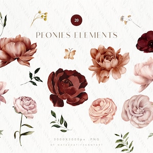 Blush pivoine PNG, Clipart Floral aquarelle, Clipart pivoine aquarelle, pivoine PNG, Clipart Floral Bourgogne, Clipart mariage Bordeaux, fleur marron