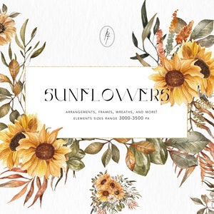 Tournesol PNG, Clipart tournesol aquarelle, Clipart Floral Boho, Clipart Floral aquarelle, tournesol png Clipart, Clipart mariage printemps