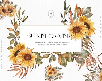Aquarel zonnebloem clipartset, boho bloemen png (digitale download)