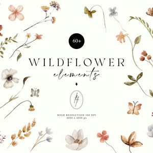 Clipart élément fleurs sauvages, fleurs sauvages, Art floral printanier, Faire-part de mariage printanier, aquarelle de fleurs sauvages PNG, fleurs séchées PNG