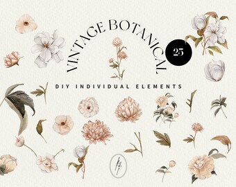 Watercolor Flower Clipart, Vintage Botanical PNG Elements (Digital Download)