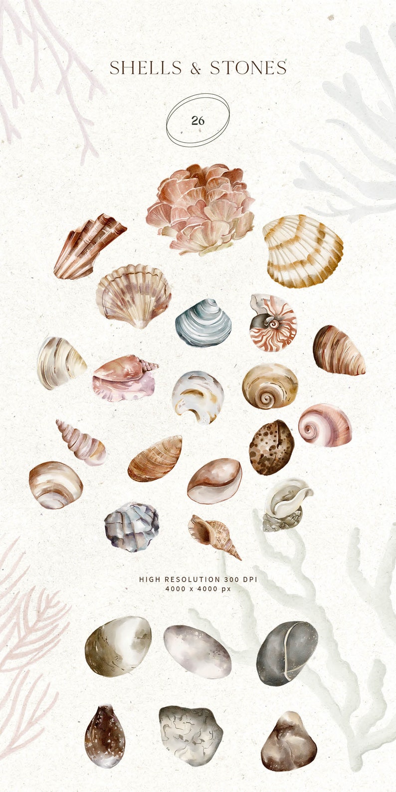 Ocean Watercolor Clipart, Nautical Animals and Shells (PNG) (digital ...