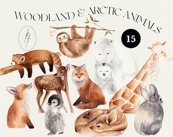 Woodland Animals Clipart, Forest Nursery Decor (PNG File)
