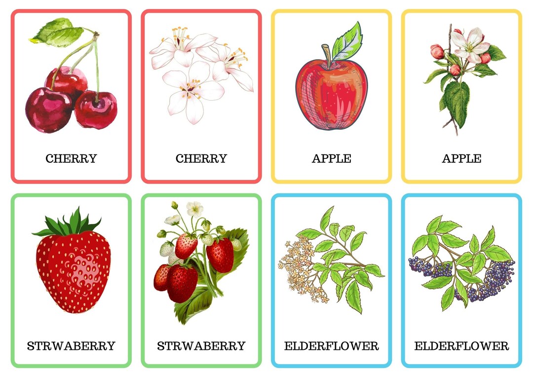 Memory Cards for Kids to Learn Digital Printable at Home Etsy