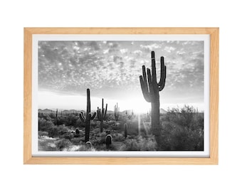 Arizona Saguaro Cactus Landscape Photography Black and White Fine Art Print