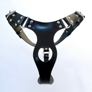 Butt Plug Harness