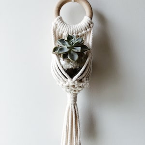 Macrame Mini Plant Hanger