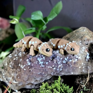 May include: Two small, brown and white, segmented, lizard-like figurines with black eyes. The figurines are posed on a brown, textured rock with white speckles.