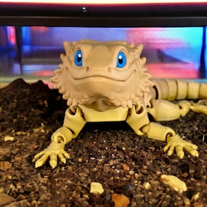 Bearded Dragon fidget toy, posable 3D printed pet Beardie, Articulated lifelike fidget toy