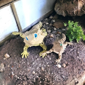 Lifesize Bearded Dragon fidget toy, posable 3D printed pet Beardie Articulated lifelike fidget toy