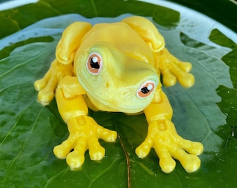 Whites Laubfrosch 3D gedrucktes artikuliertes Fidget Spielzeug Haustier Frosch Schreibtischspielzeug