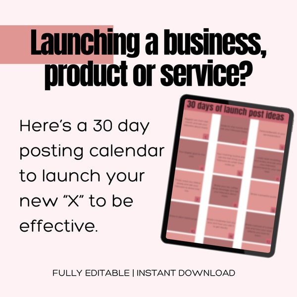 30 Launch Post Ideas for Social Media Story Strategy Guide. 30 Prompts for Social Media content idea guide. Instagram Story Strategy plan.