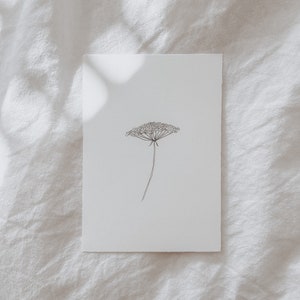 Postkarte | minimalistische Blume | Grußkarte | Postkarte | Geschenkkarte | Kunstdruck | DIN A6 | Motivation