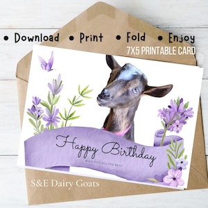 Cartão de aniversário fofo de cabra, cartão de feliz aniversário de borboleta, cartão de aniversário de jardim de flores roxas A7 7x5 Cartão de cabra para impressão