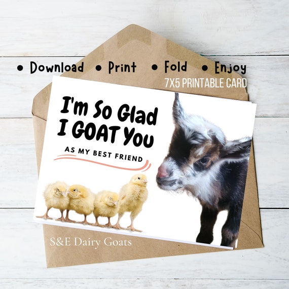 Goat Friend Greeting Card, Gifts With Goats, Printable Goat Birthday Card, Goat  Gifts for Goat Lovers, Funny Goat , Goat Stuff, Friend Card -  Canada