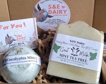 Organic Goat Milk Spa Gift Set: Mint Soap & Bath Bomb