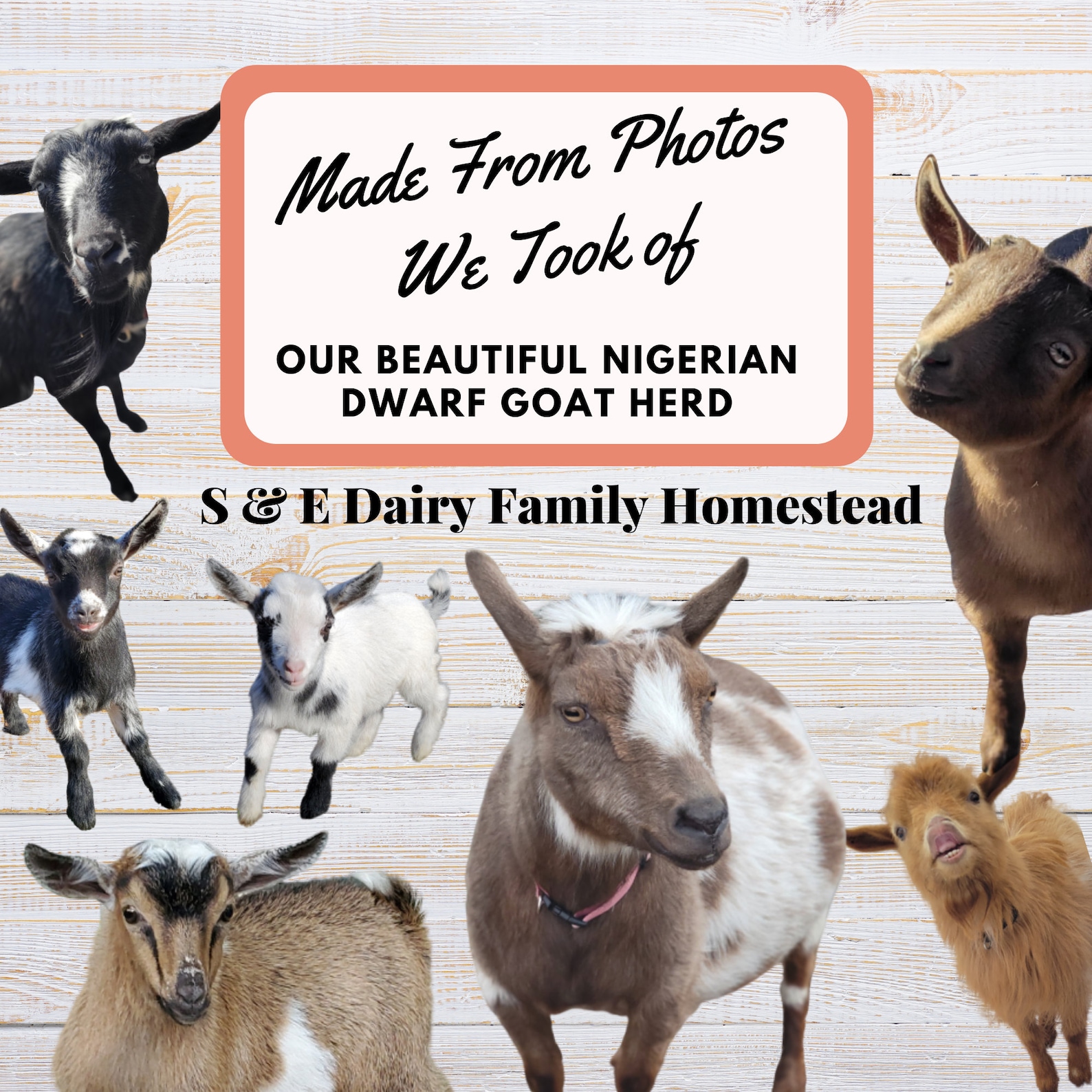 Goat Birthday Card, Gifts With Goats, Printable Goat Birthday Card